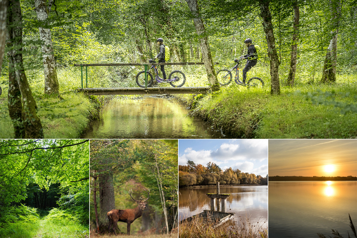 Les paysages de la Sologne